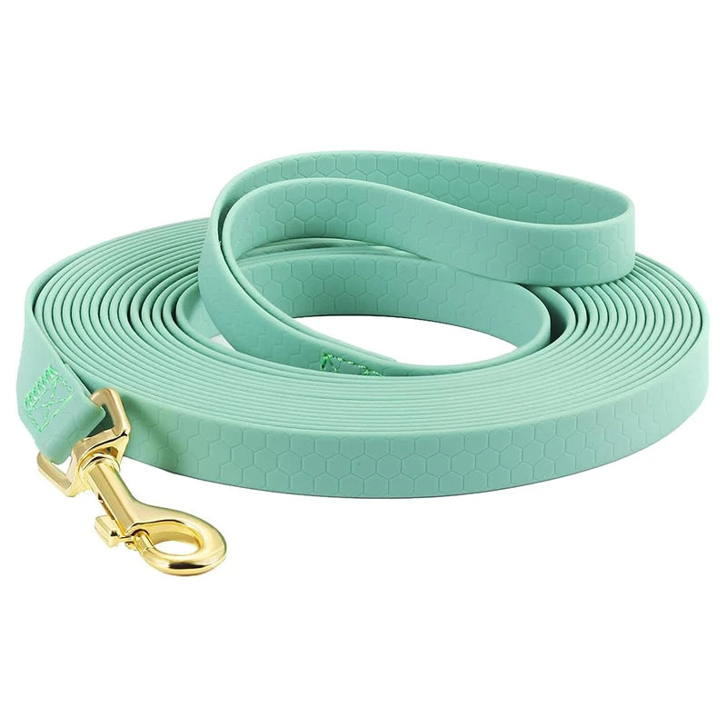 Long Dog Leash in Succulent Green