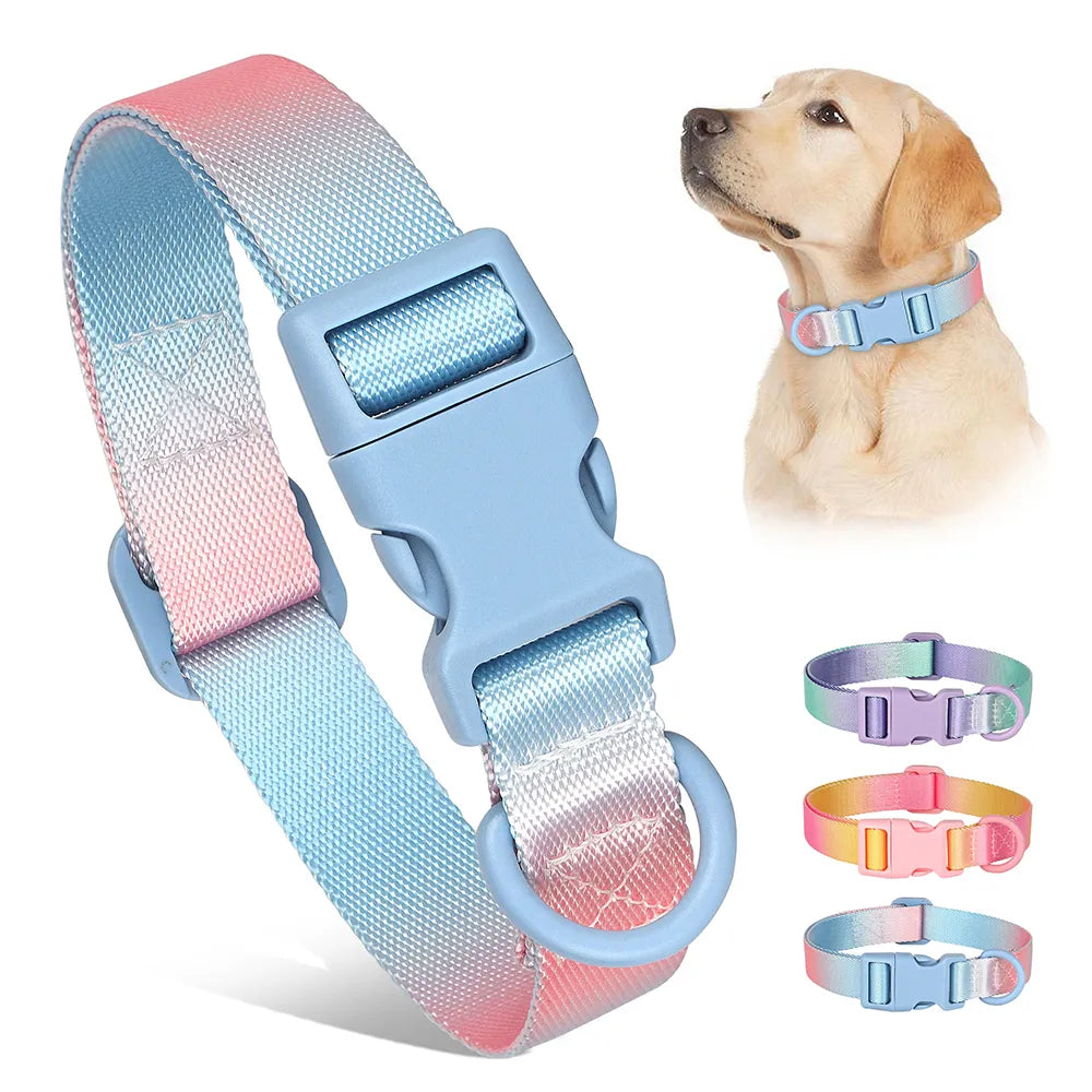 Adjustable Pastel Color Dog Collar