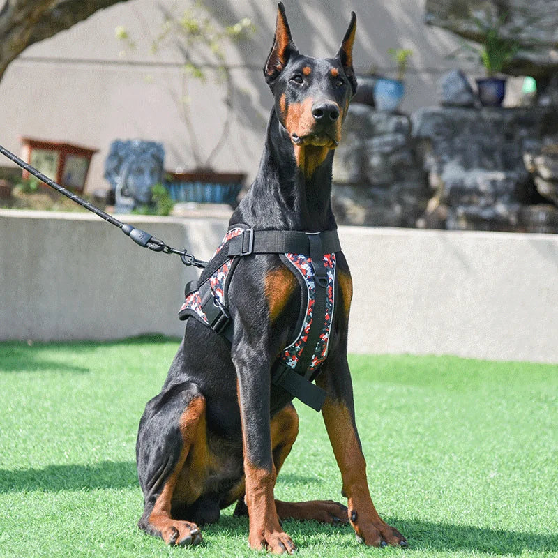 Personalized Dog Harness, photo 6