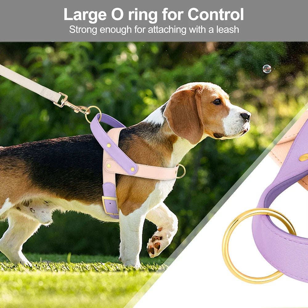 Leather Dog Harness