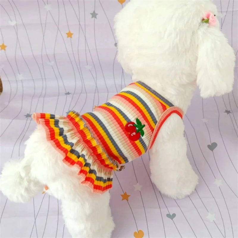 Dog Dog Dress