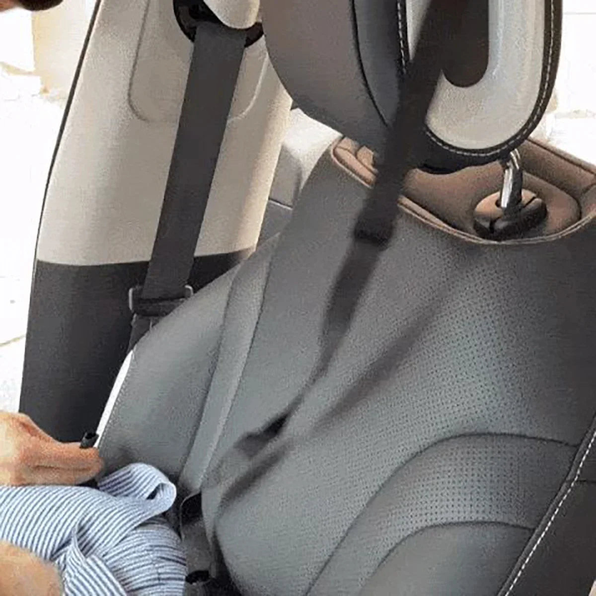 Car Seat For Small Dog