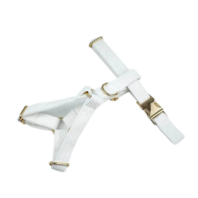 White Dog Harness, photo 13