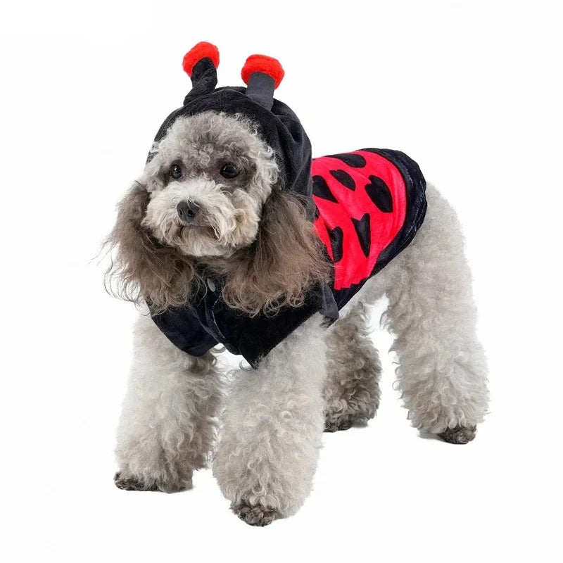 Ladybug Dog Costume, photo 4