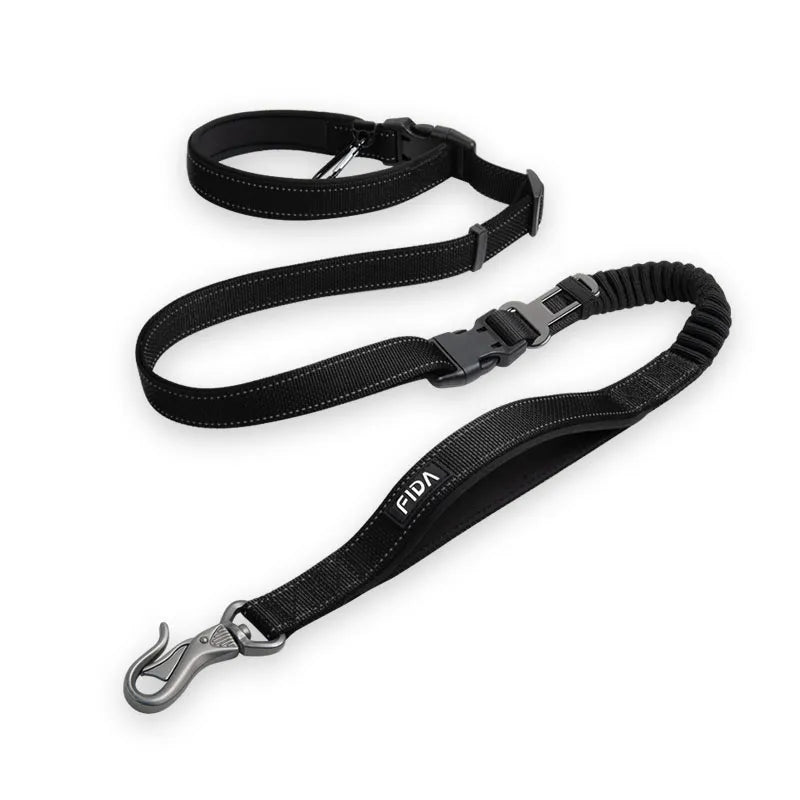 Adjustable Dog Leash in Black