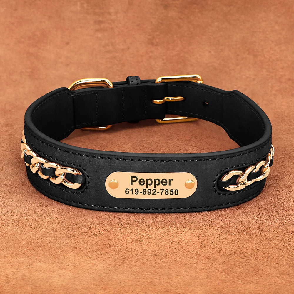 Customized Dog Collar in Black
