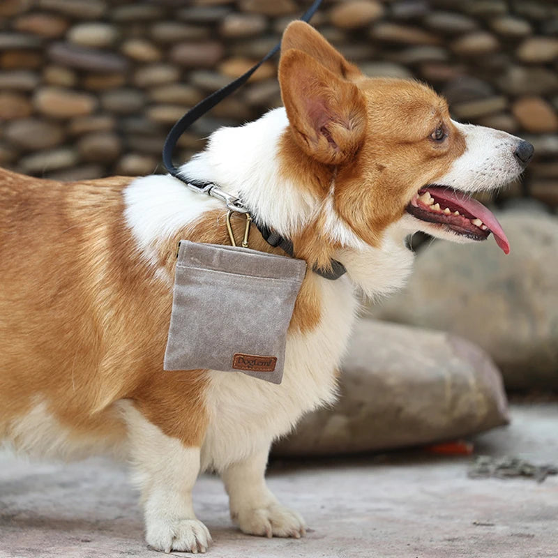 Dog Treat Bag For Training