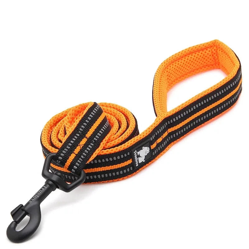 Reflective Dog Leash in Orange