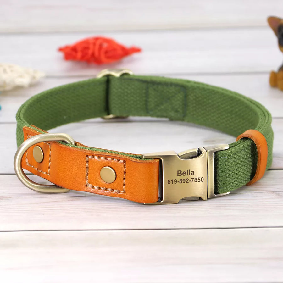 Features: Personalized, Breakaway, Quick Release