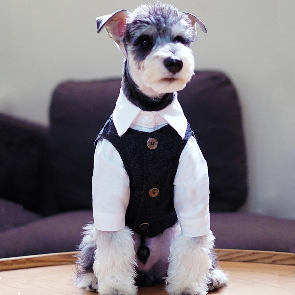 Dog Clothes Wedding