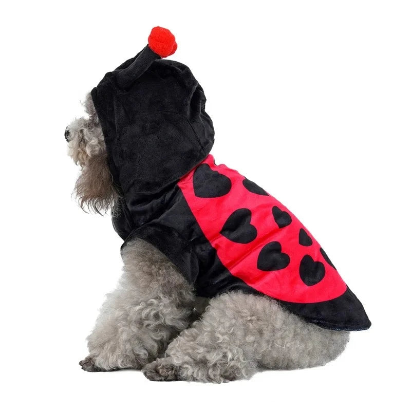Size M: Back:11.4",Neck:13.4",Chest:15.4",Recommend for 5.0 to 8.0 lbs, must measure your pet's neck/chest girth,back length, body weight and check the size chart before order, do not make a decision just by the size name, one size up/a bit loosely will be more comfortable