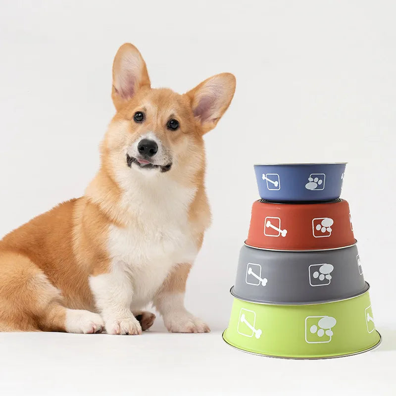 Non Slip Dog Bowl
