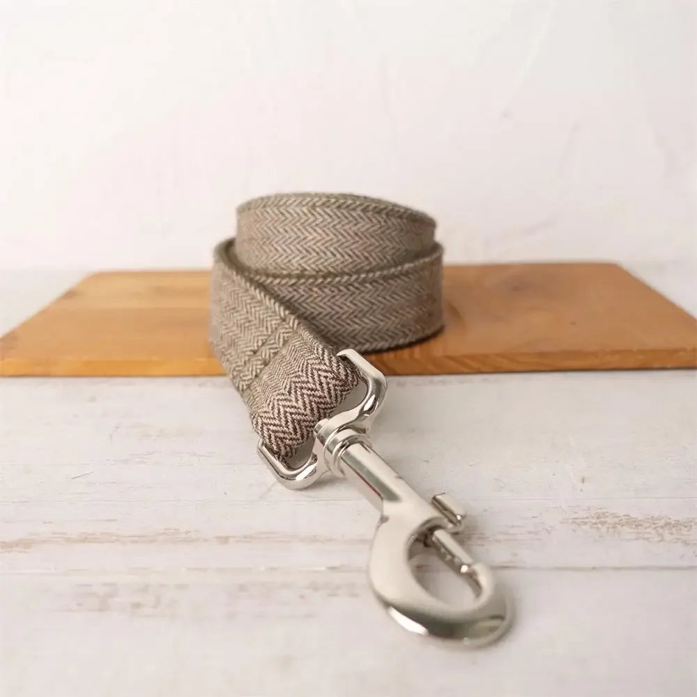 Personalized Buckle Dog Collar in Beige Leash