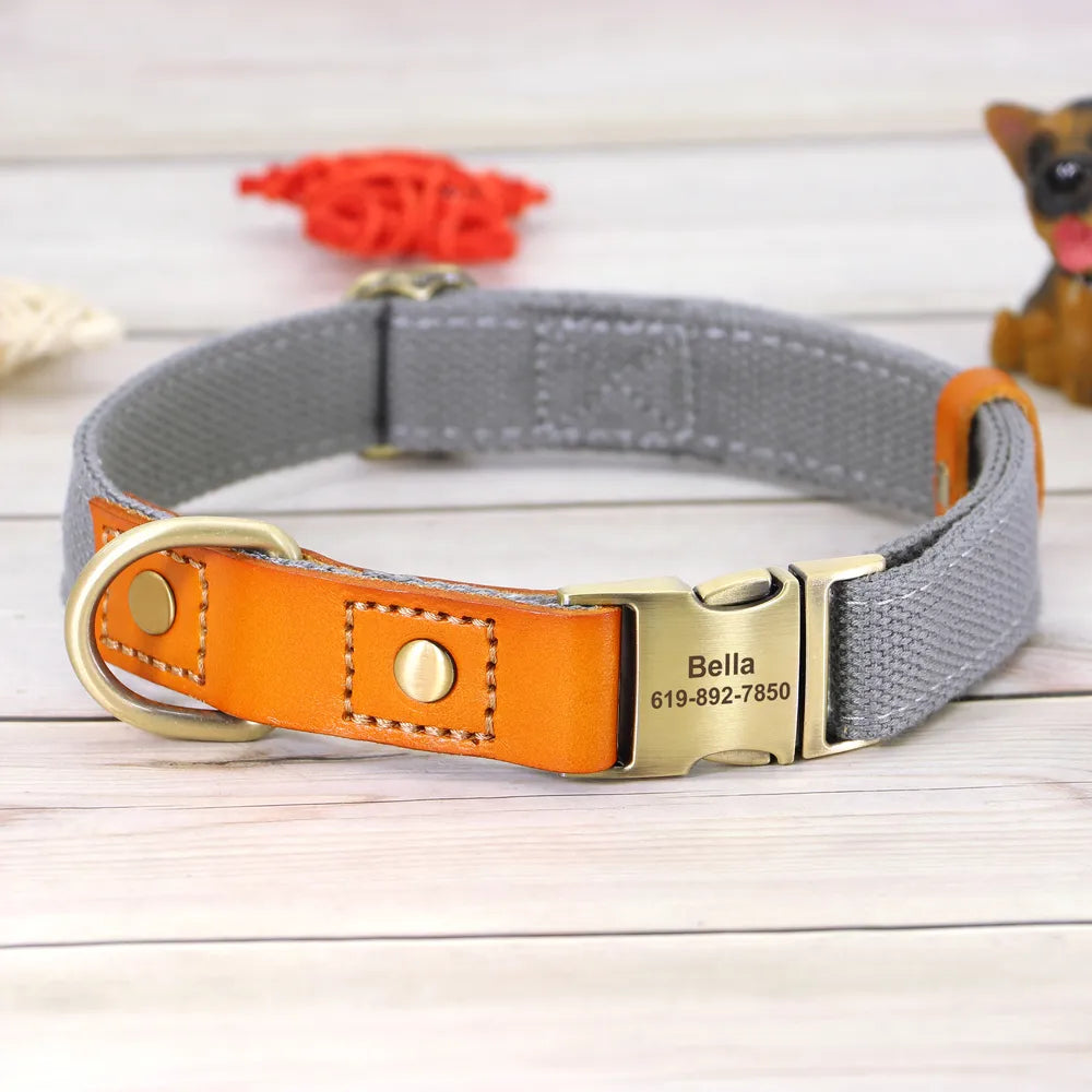 Personalized Adjustable Dog Collars in Gray