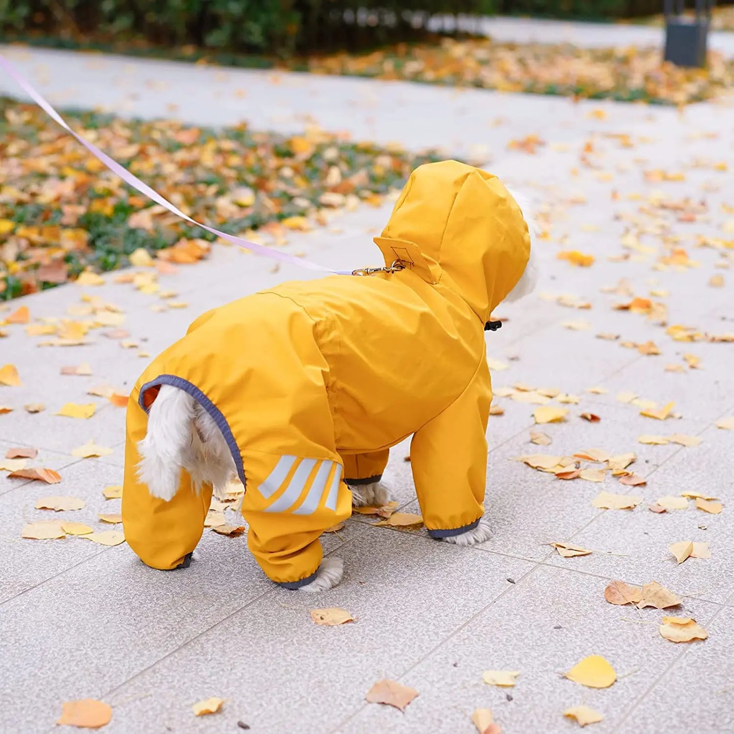 Dog Raincoat With Hood