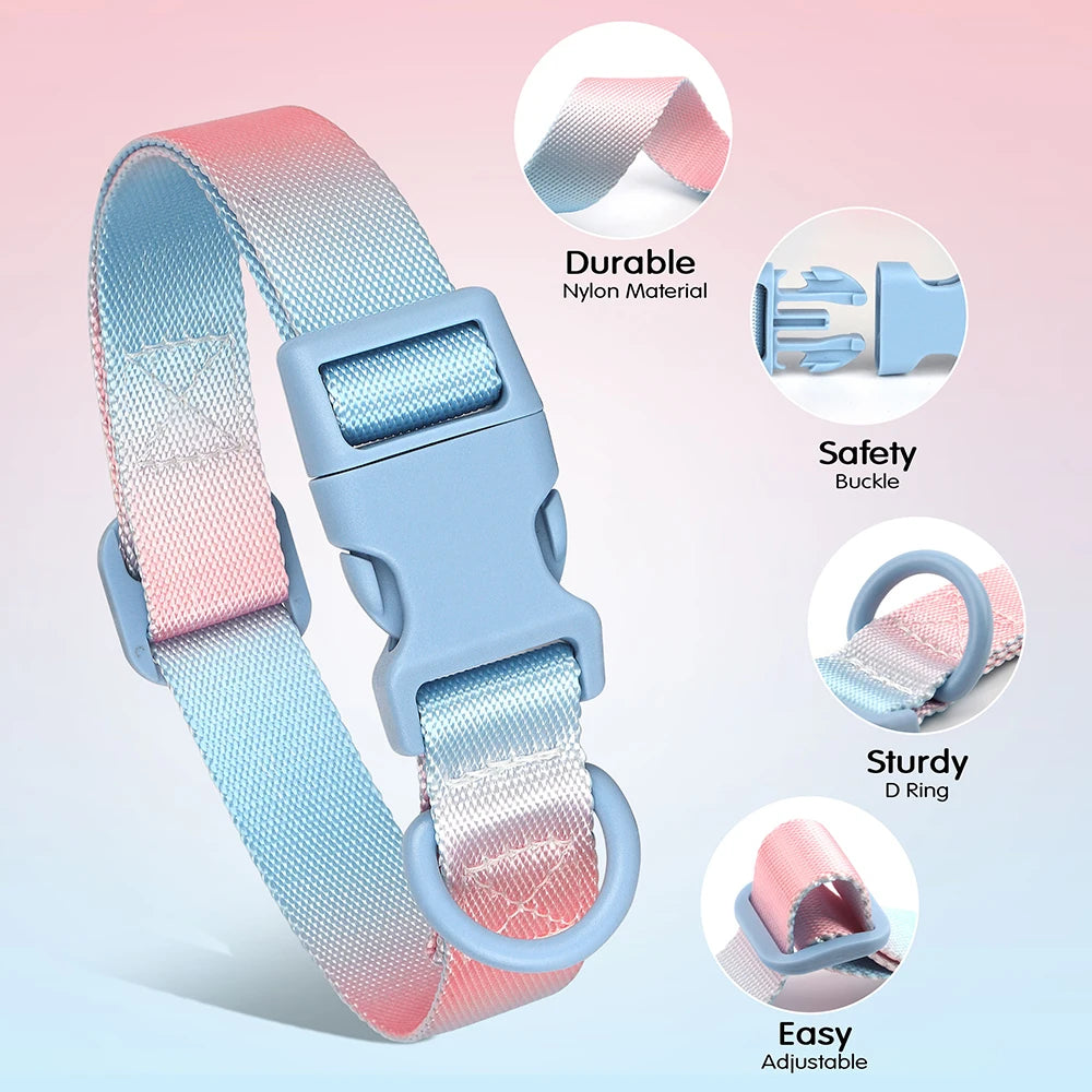 Cute Dog Collar in Blue