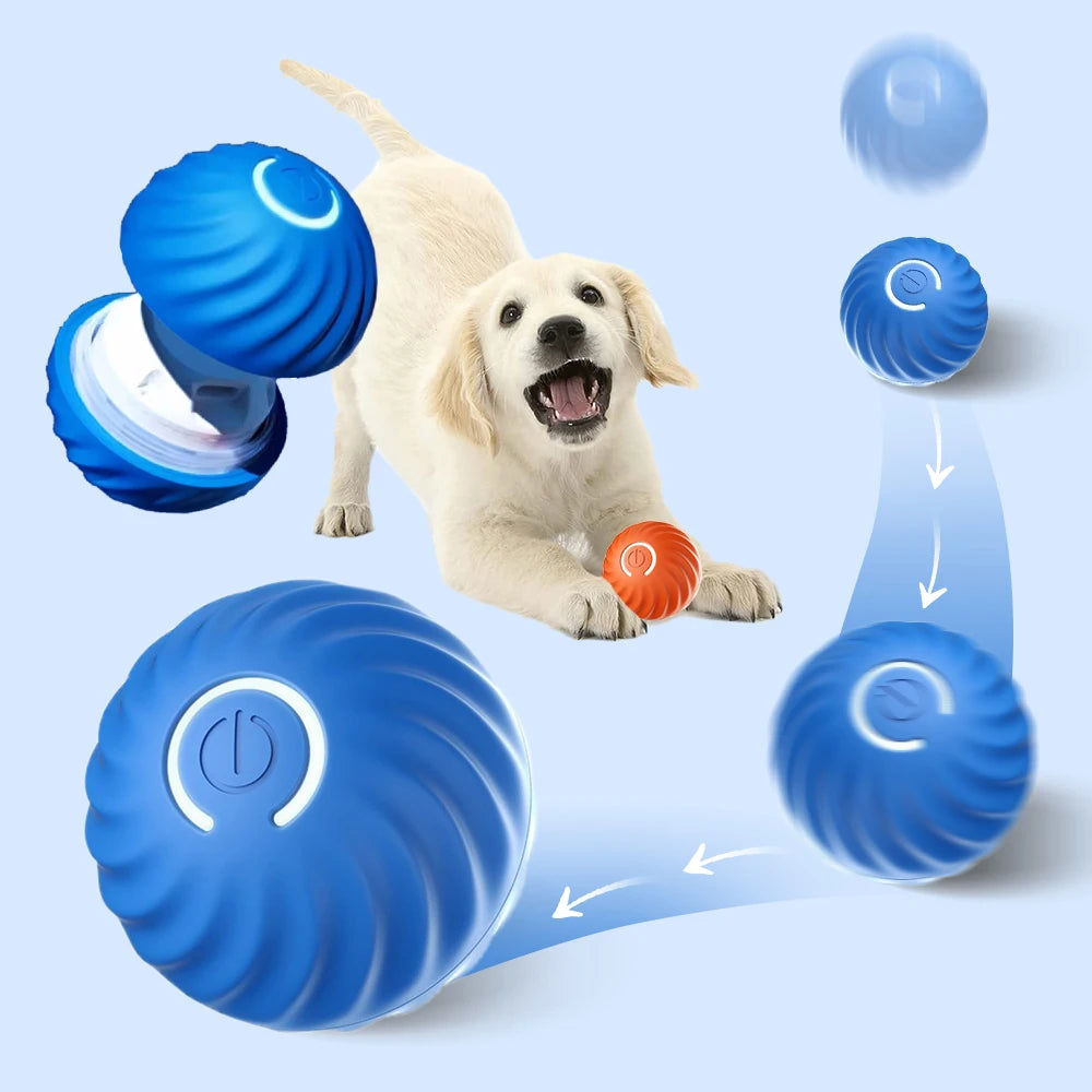 Dog Smart Ball