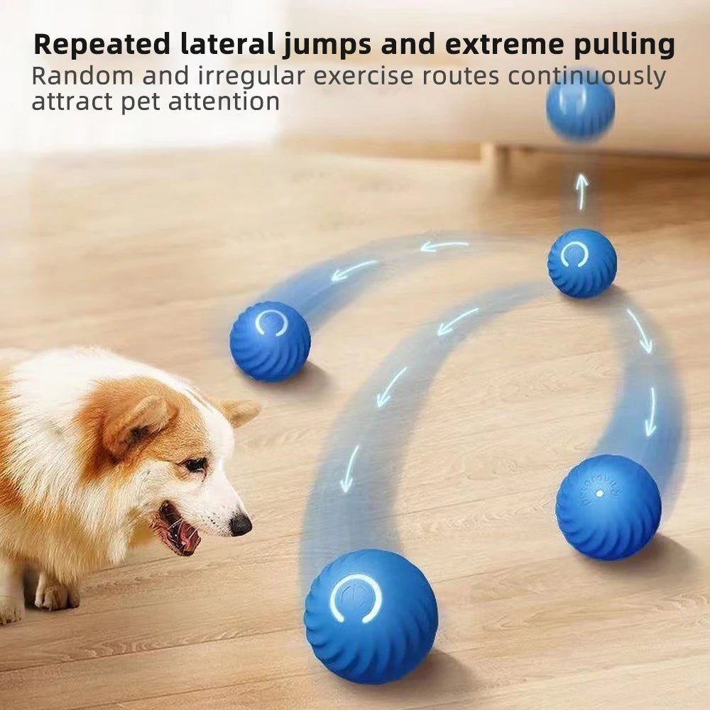 Dog Smart Ball