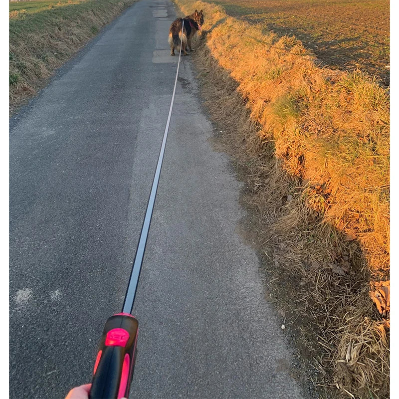Retractable Dog Leash, photo 6