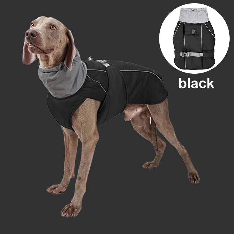 Waterproof Dog Jacket
