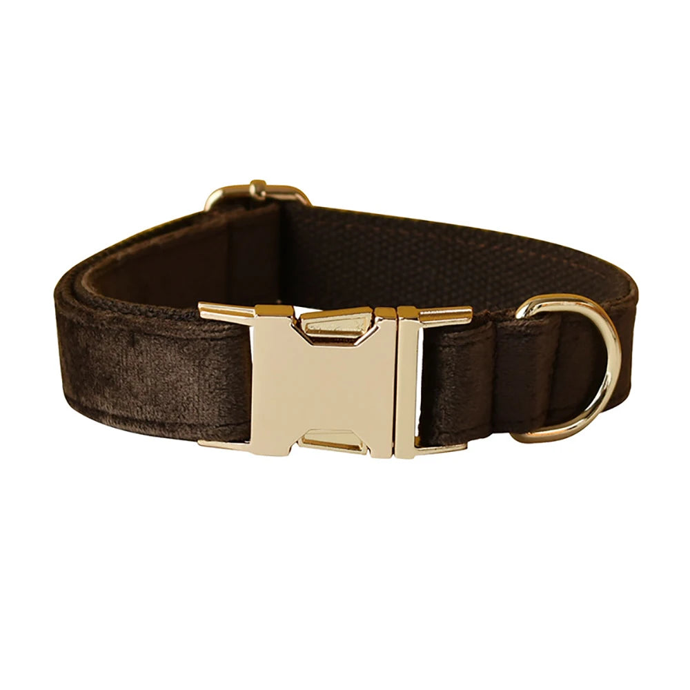 Personalized Cute Dog Collar in Collar Chocolate