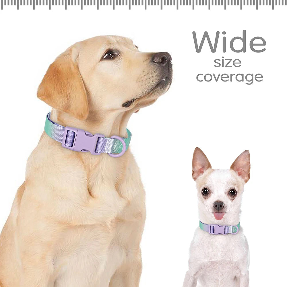 Cute Dog Collar