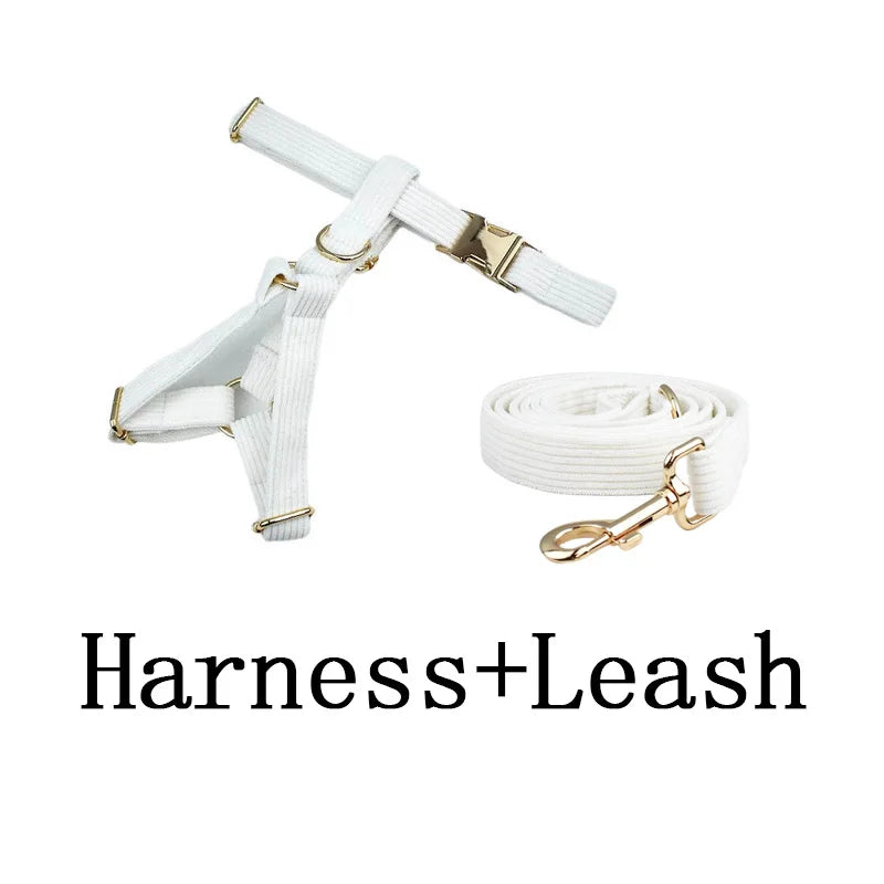 White Dog Harness in Harness & Leash