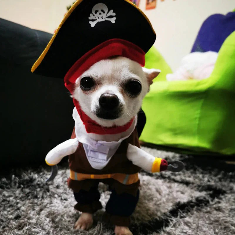 Dog Pirate Costume