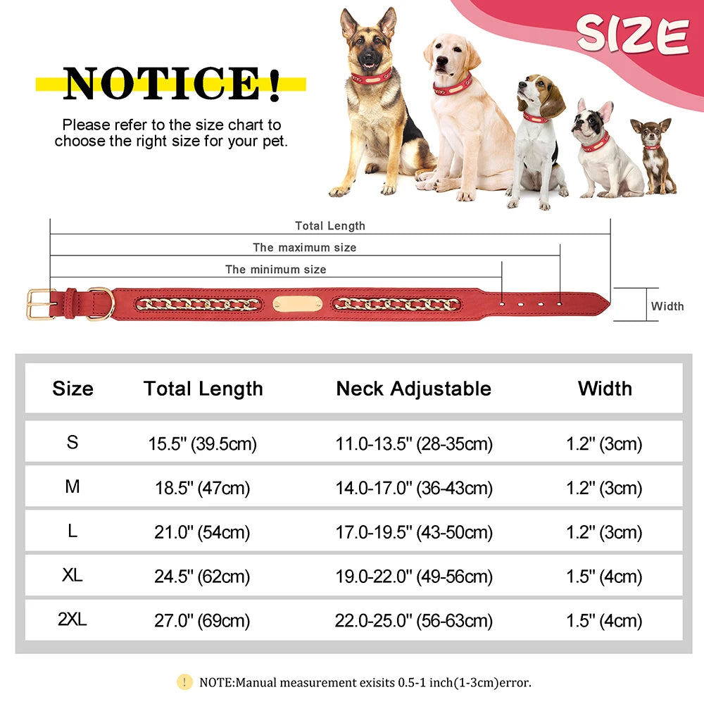 Customized Dog Collar