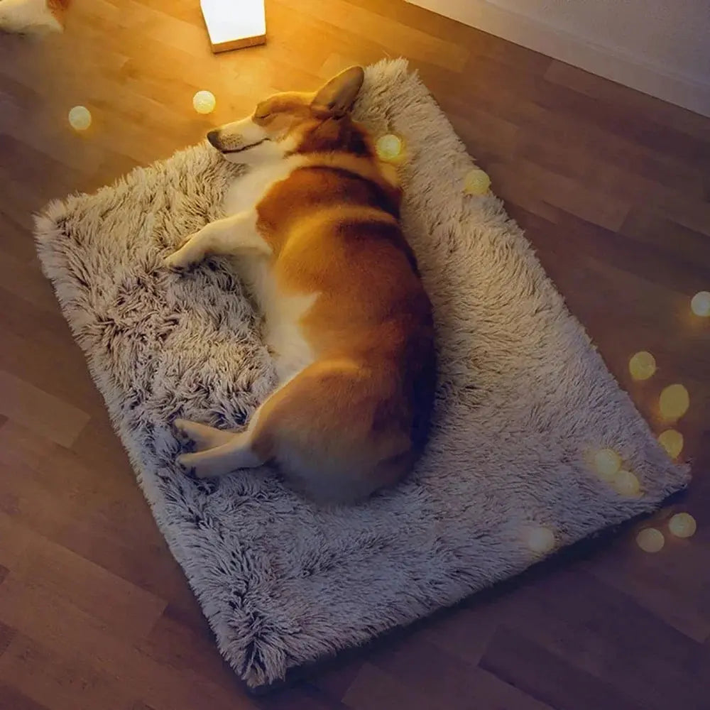 Plush Dog Bed
