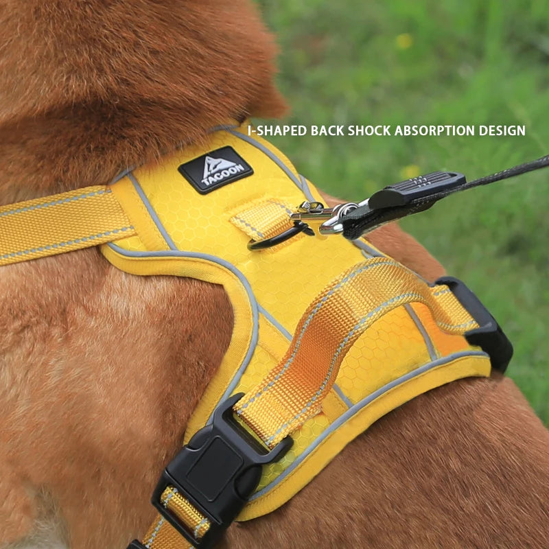 Adjustable Dog Harness