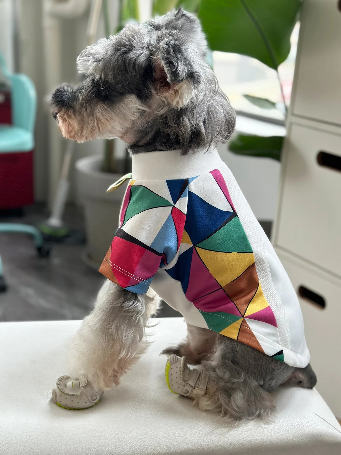 Small Dog T Shirts