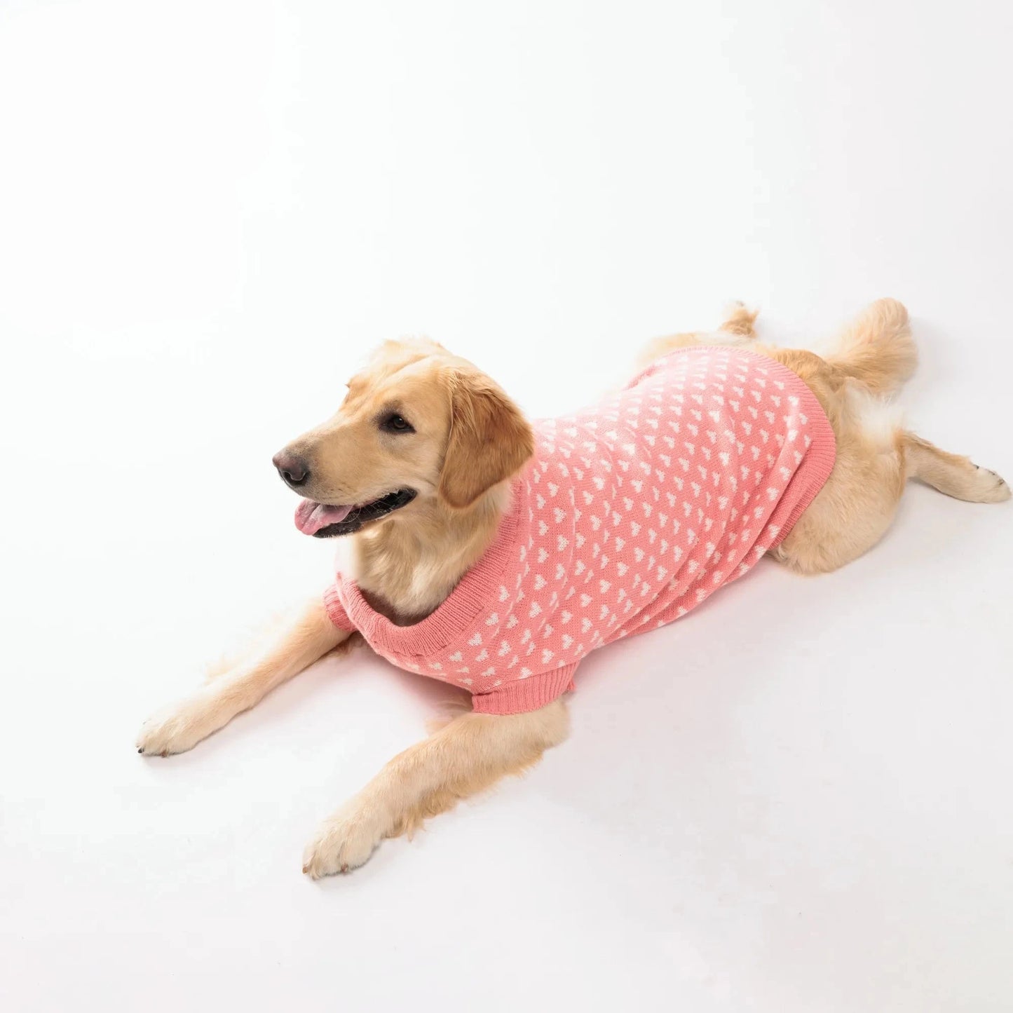 Knitted Dog Sweater