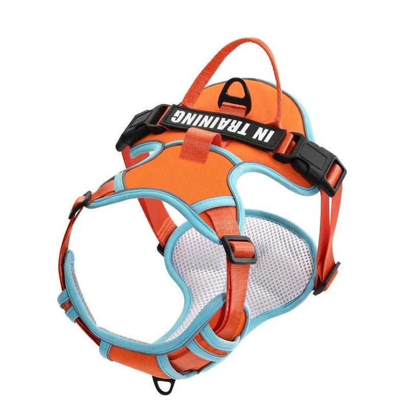 Personalized Dog Harness No Pull in Orange Blue