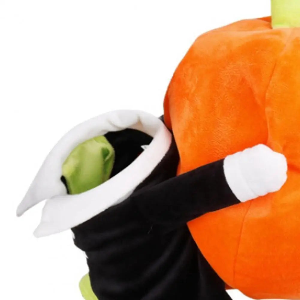 Pumpkin Dog Costume
