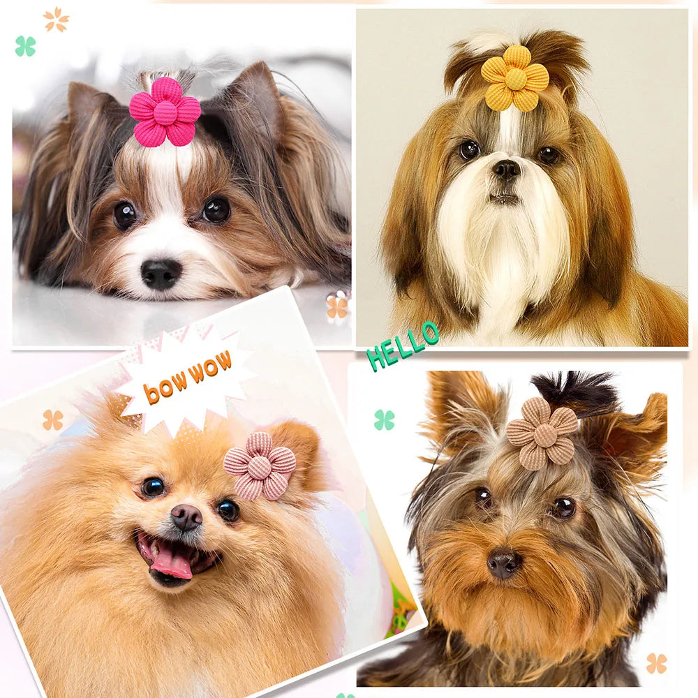 Dog Flower Bow