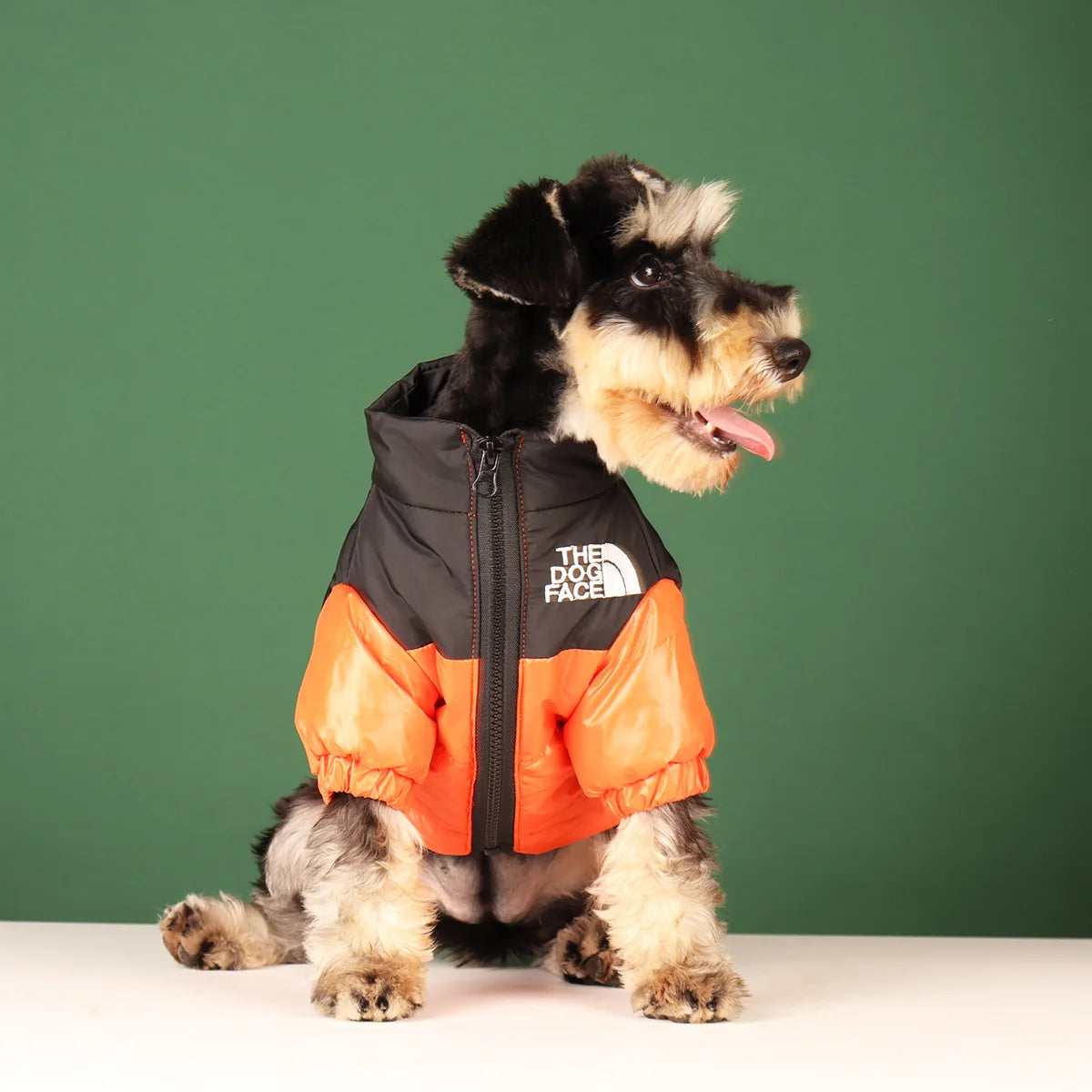 Dog winter coat Tex
