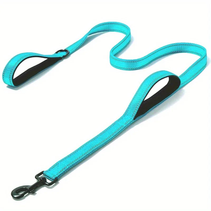 Double Handle Dog Leash in Sky Blue