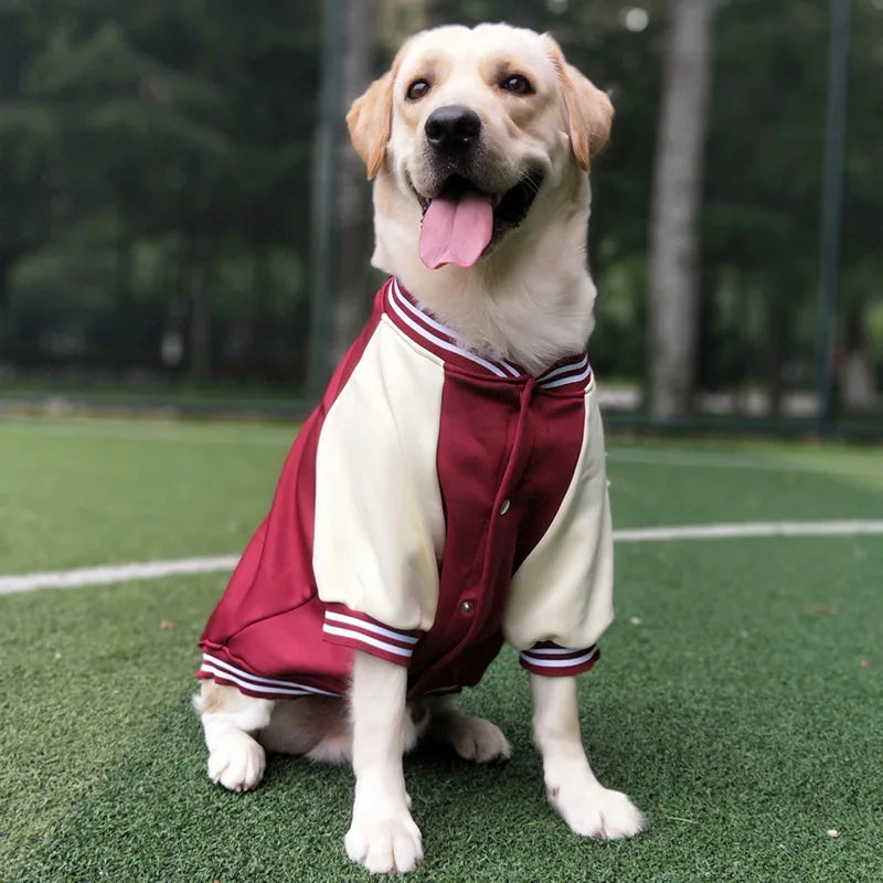 Dog Baseball Shirt