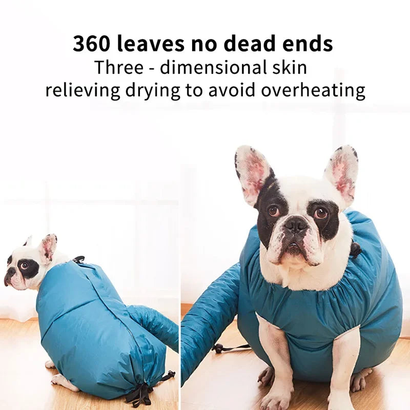 Allow your dog to quickly dry their hair after bathing, preventing colds and illnesses