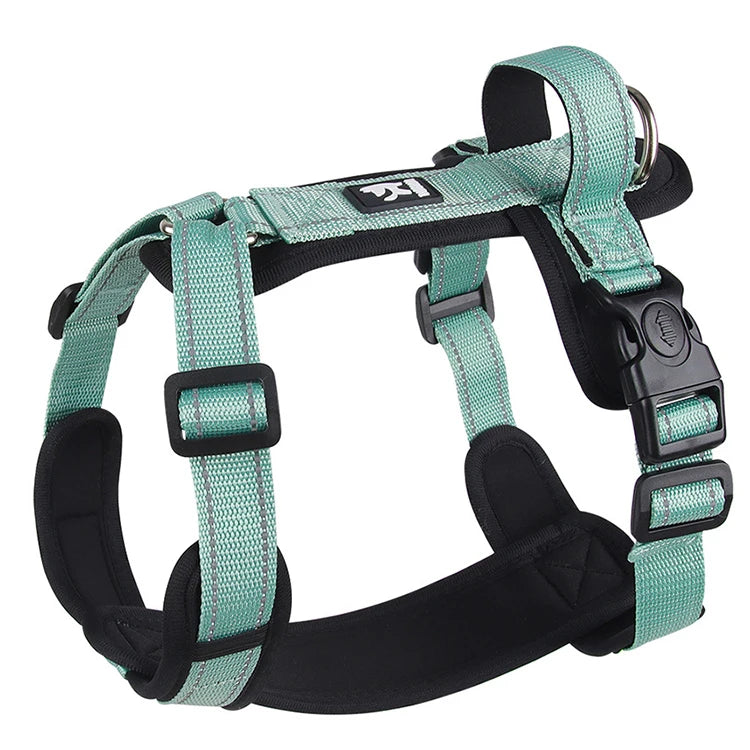 Dog Harness With Handle in Green