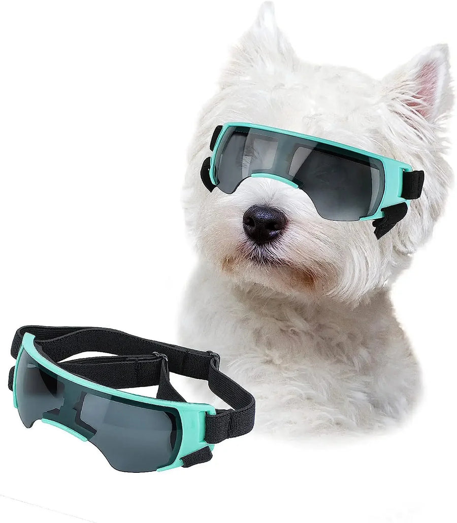 Shield your dog's eyes from harmful sunlight, UV rays, strong winds, or debris during outdoor adventures.