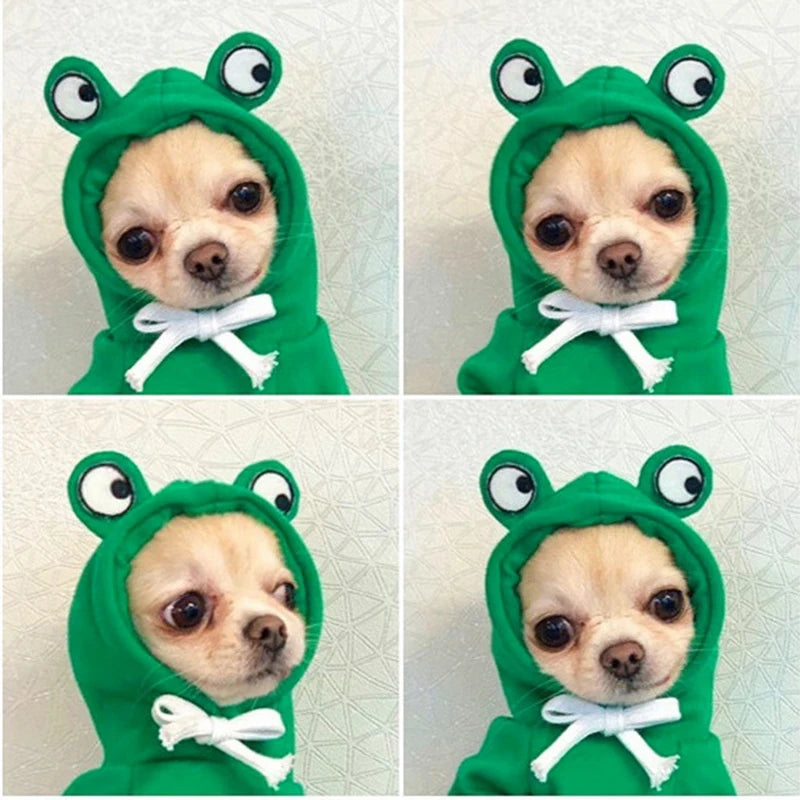 Frog Hoodies For Dog