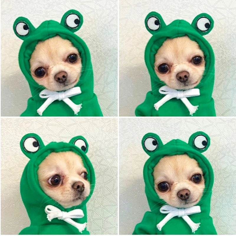 Frog Hoodies For Dog, photo 8
