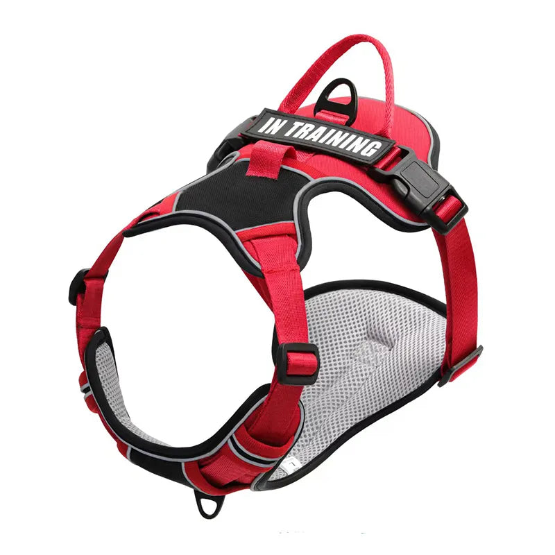 Personalized Dog Harness No Pull in Black Red