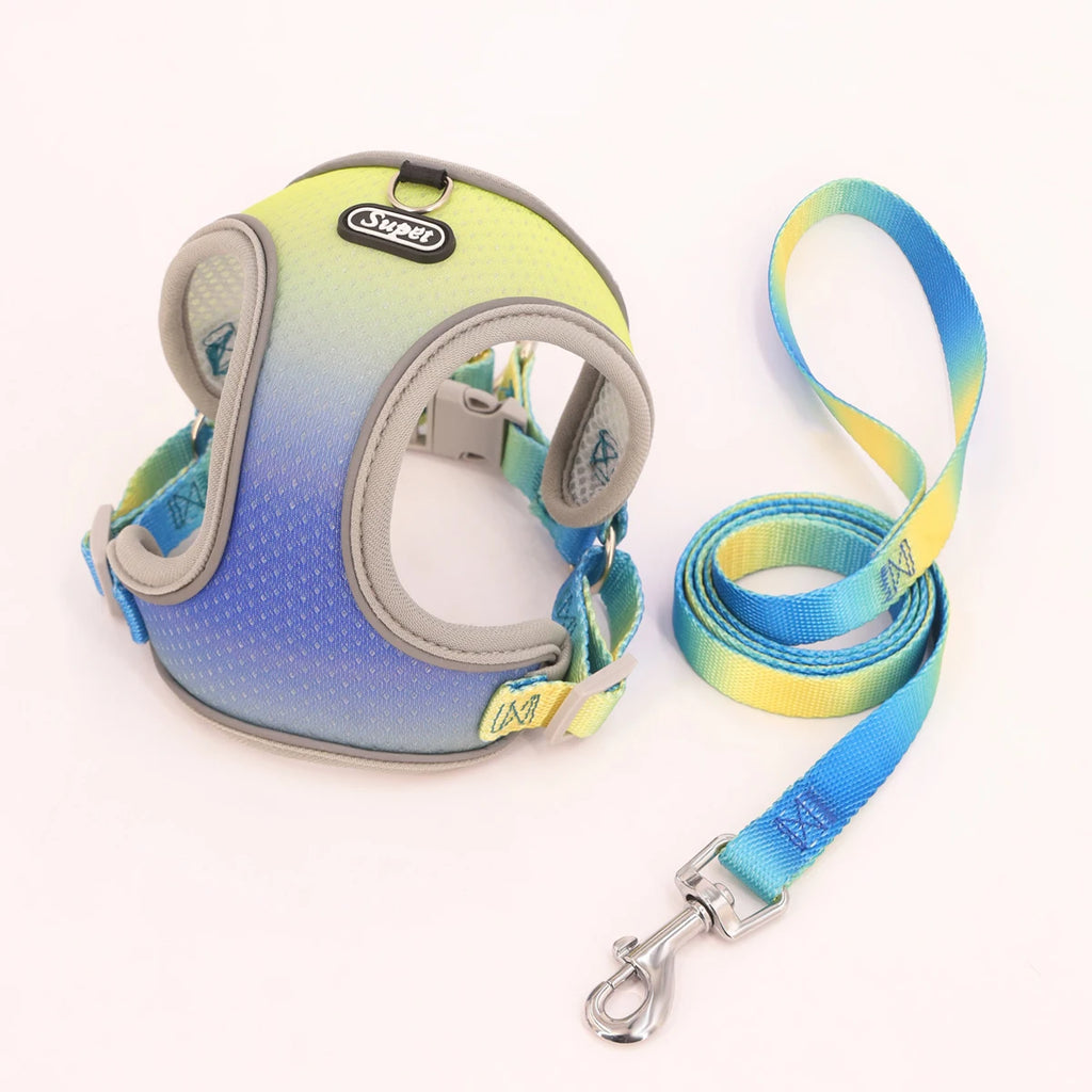 Nylon Dog Harness in Yellow & Blue