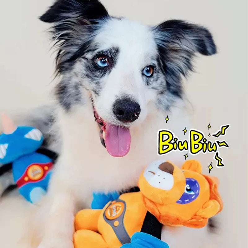 Dog Squeaky Toy