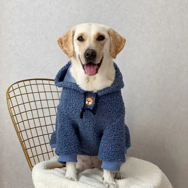 Large Dog Hoodie