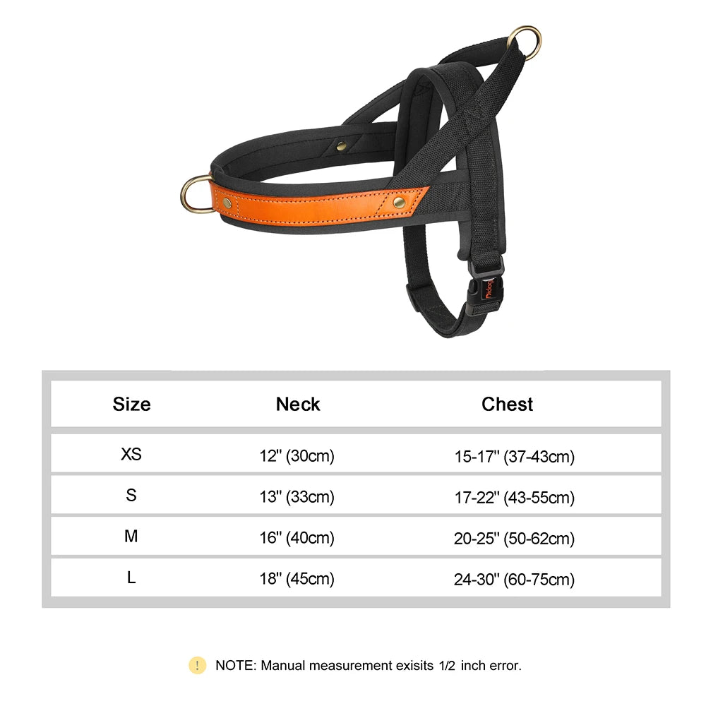 No Pull Dog Harness in Orange & Black