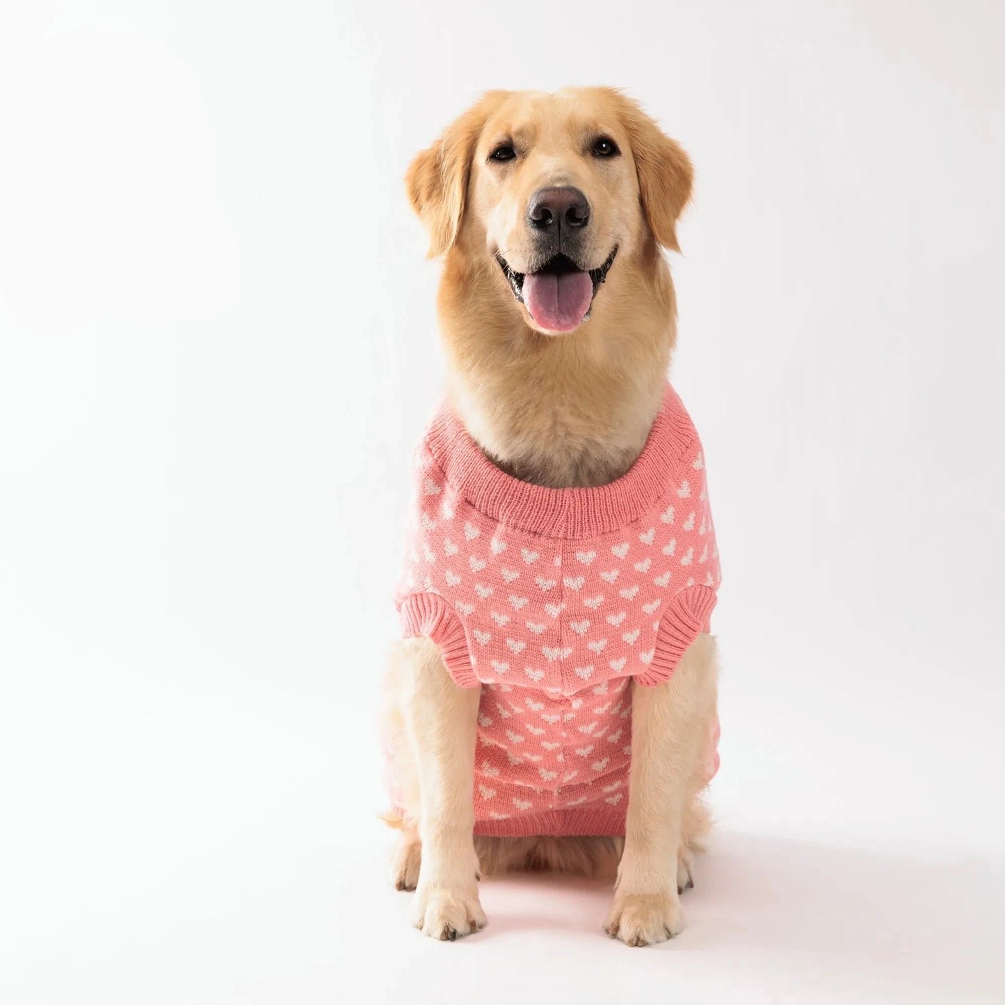 Knitted Dog Sweater